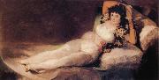 Francisco Jose de Goya The Clothed Maja oil painting